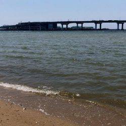 甲子園浜　デイゲーム　５０ｃｍ